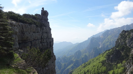 E147-forme-della-natura