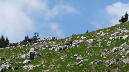 E147-qualcuno-ci-osserva