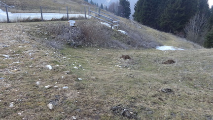 E148-ldp000-00-p4-160131