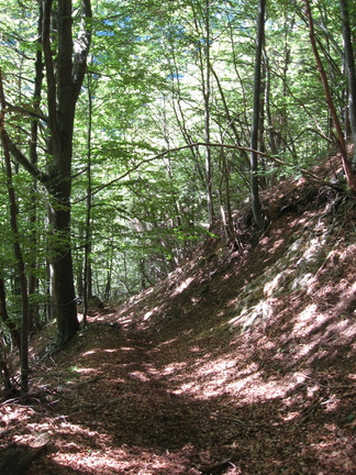 E148-700-verso-Passo-Lucco-170716 (19 visite) E148-700-verso-Passo-Lucco-170716