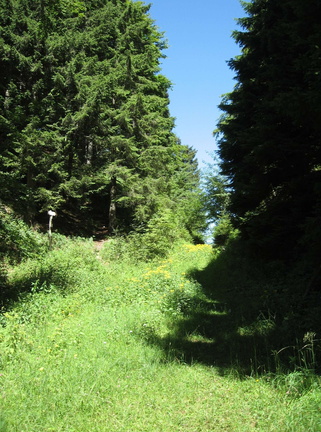 E148-900Passo-Lucco-170716 (16 visite) E148-900Passo-Lucco-170716