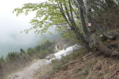 E157-ldp003-00-p2-160526