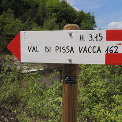 E162