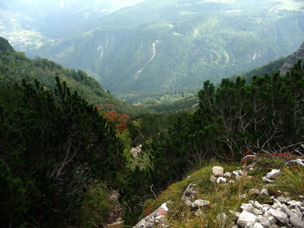 E162-P1010661