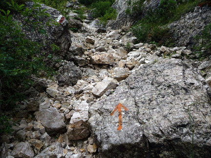 E162-P1010665