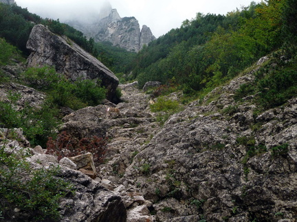 E162-P1010667