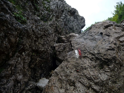 E162-P1010668