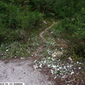 E162-P1010671