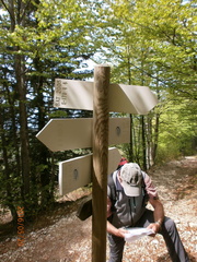 E170-ldp004-00-d4-CC-160526