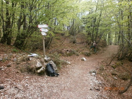 E170-ldp004-00-p2-CC-160526