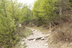 E170-ldp004-02-p4-TD-160526