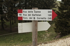 E170-ldp004-03-d2-TD-160526