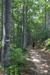E173-Baffelan-Campogrosso-01-110621