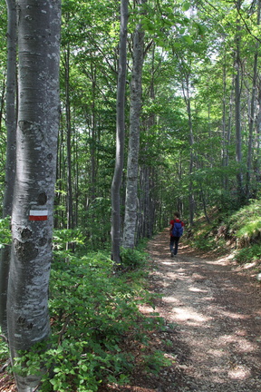 E173-Baffelan-Campogrosso-01-110621 (23 visite) E173-Baffelan-Campogrosso-01-110621