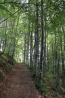 E173-Baffelan-Campogrosso-02-110621