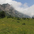 E173-Baffelan-Campogrosso-2