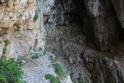 E176-SAA-Passo-Onari-110621-td-4JPG