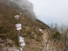 E177-ldp001-00-p2-CC-160526