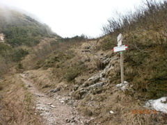 E177-ldp001-00-p3-CC-160526