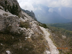 E177-51
