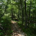 E177-Baffelan-110621-td-1