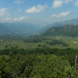 sentiero