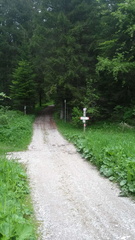 E201-ldp004-00-p02-SezLevicoT-160930