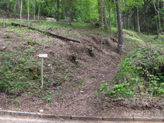 E202-ldp004-00-p1-150505