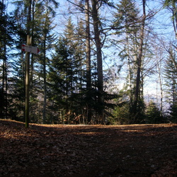 006-00