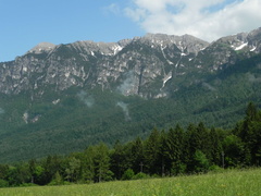 E203-Barco-110603-td-10