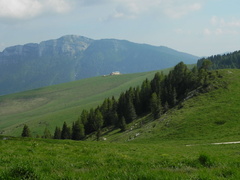 E204-01