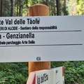 E204A-ldp001-00-d02-20240811-CR (116 visite) E204A-ldp001-00-d02-20240811-CR