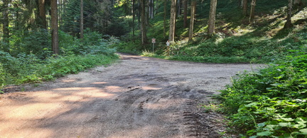 E204A-ldp001-00-p01-20240811-CR