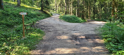 E204A-ldp001-00-p02-20240811-CR