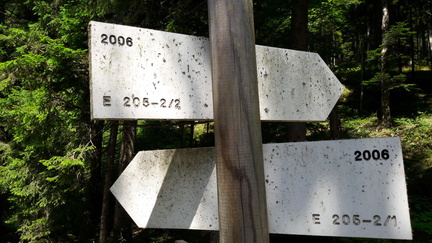 E205-ldp002-00-d04-SezLevicoT-160930