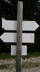 E205-ldp003-00-d02-SezLevicoT-160930