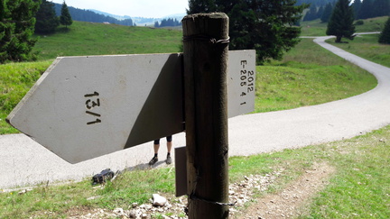 E205-ldp004-00-d03-SezLevicoT-160930