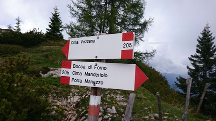 E205-ldp005-00-d01-SezLevicoT-160930