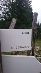 E205-ldp006-00-d03-SezLevicoT-160930