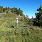 E205-ldp007-00-p01-SezLevicoT-160930