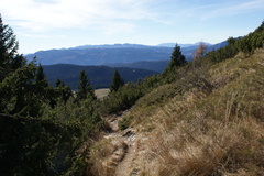 E205-51-151108-HM