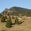 E205-dal-Altopiano-verso-Cima-di-Vezzena-151108-HM