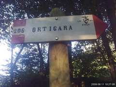 E206-ldp006-00-d01-090811-lz