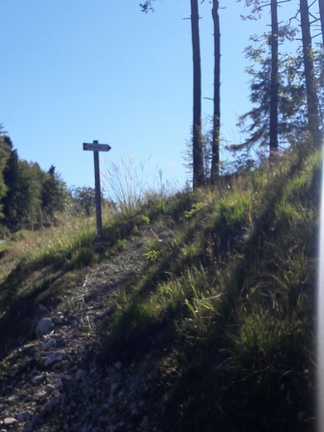 E206-ldp006-00-p01-170813-lz