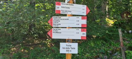 E207-ldp002-00-d01-20240811-CR