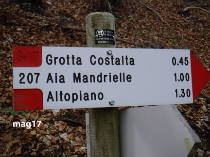 E207-ldp006-00-d01-170511-rc