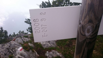 E207-ldp009-00-d04-SezLevicoT-160930