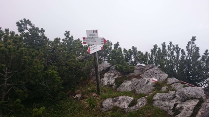 E207-ldp009-00-p01-SezLevicoT-160930