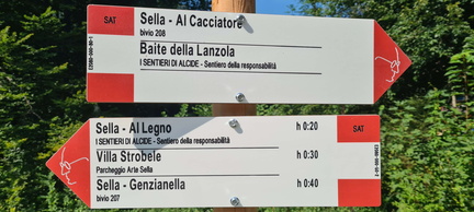 E208-ldp000-80-d01-20240811-CR