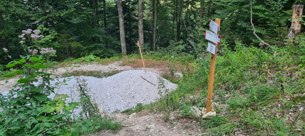 E208-ldp004-00-p01-20240811-CR